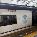 網讚太狂！華航聯名前進日本 Skyliner 變身「皮卡丘彩繪車」引爆朝聖潮